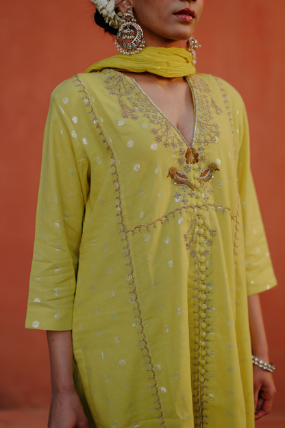 Lime kurta embroidery with pants